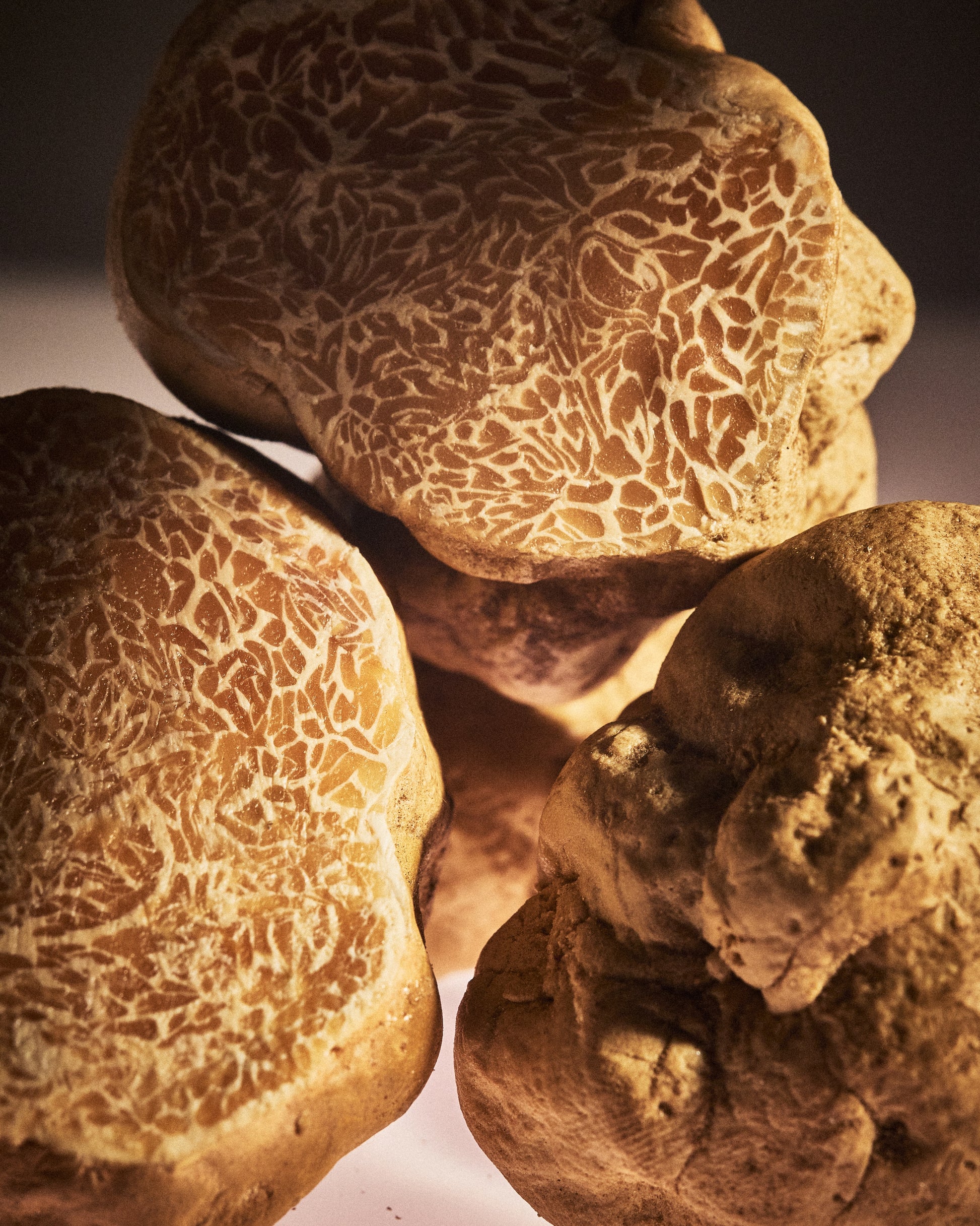 Luxe Absolute Moisture Serum