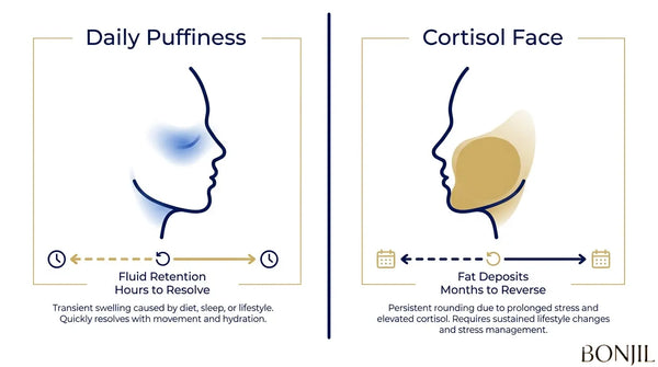 Daily facial puffiness vs cortisol face comparison showing fluid retention and longer-term facial fullness