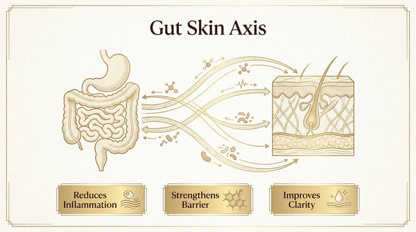 What Is the Gut-Skin Connection and How Do Probiotics Improve Skin Health?