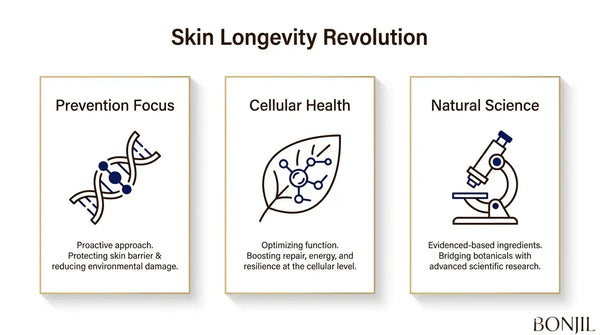 Skin longevity approach focused on prevention, cellular health, and evidence-based natural skincare science