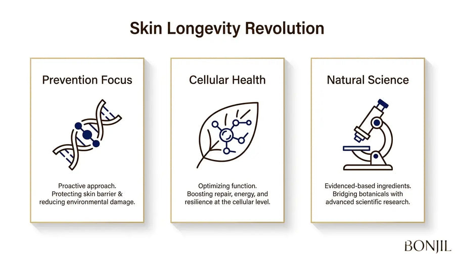 Skin longevity approach focused on prevention, cellular health, and evidence-based natural skincare science