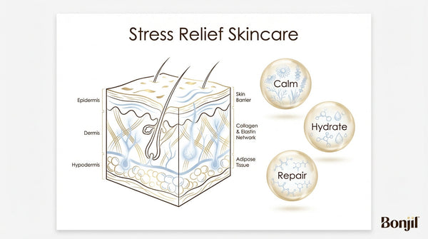 What Are the Best Skin Ingredients for Stress Relief, Calm, and Hydration in 2026?