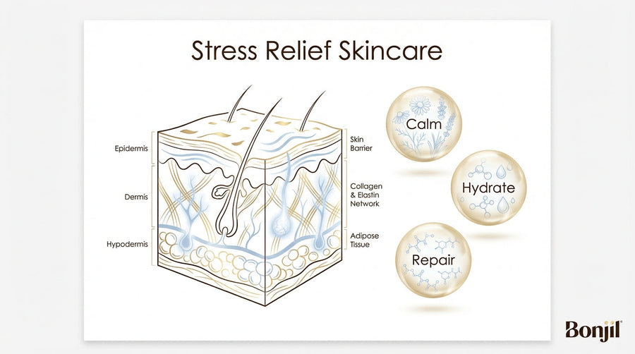 What Are the Best Skin Ingredients for Stress Relief, Calm, and Hydration in 2026?