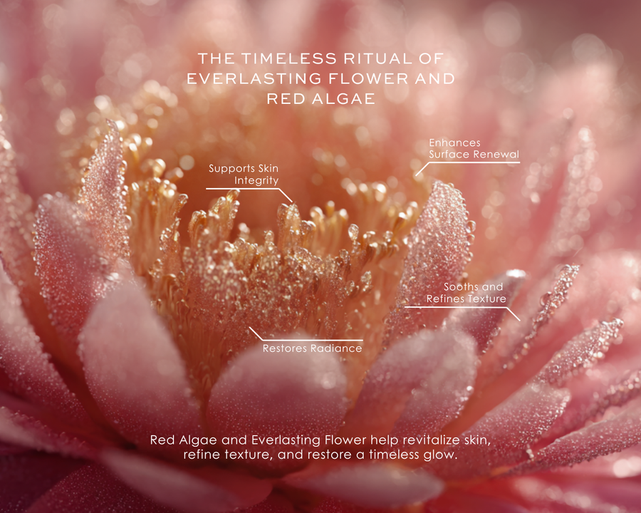 Timeless Perfection Serum