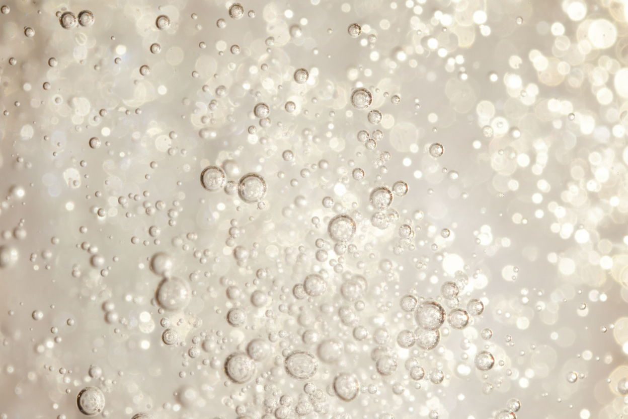 Probiotic Ferment Complex